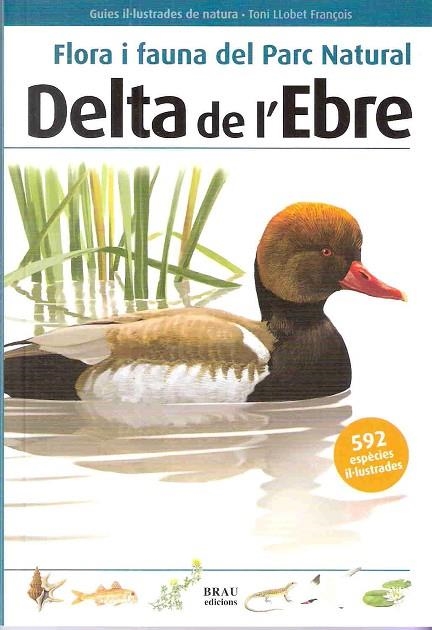 DELTA DE L,EBRE,FLORA I FAUNA DEL PARC NATURAL | 9788496905467 | LLOBET FRANÇOIS,TONI