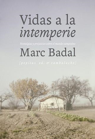 VIDAS A LA INTEMPERIE | 9788415862987 | BADAL PIJOAN, MARC