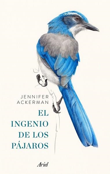 EL INGENIO DE LOS PÁJAROS PACK | 9788434427167 | ACKERMAN, JENNIFER