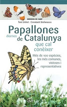 PAPALLONES DIÜRNES DE CATALUNYA QU CAL CONEIXER | 9788490346754 | LLOBET FRANçOIS, TONI/STEFANESCU, CONSTANTí