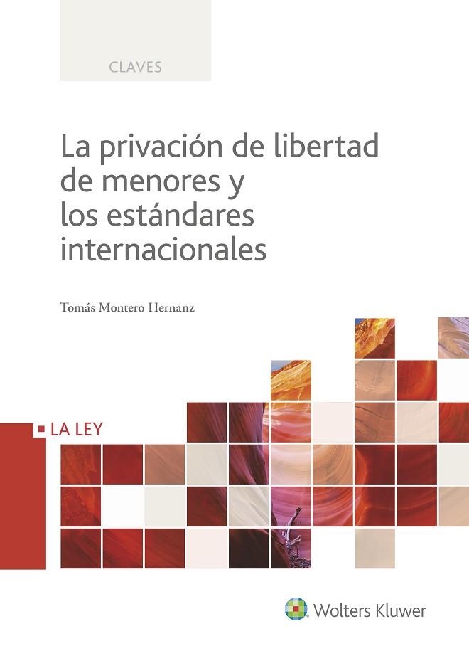 LA PRIVACION DE LIBERTAD DE MENORES Y LOS ESTANDARES INTERNACIONALES | 9788490206812 | MONTERO HERNANZ,TOMAS