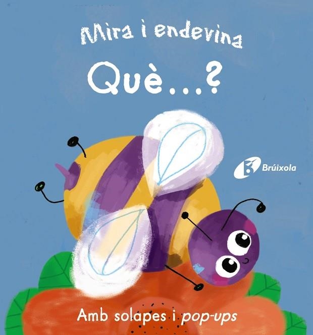 MIRA I ENDEVINA. QUÈ...?DESPLEGABLE | 9788499068701 | VARIOS AUTORES