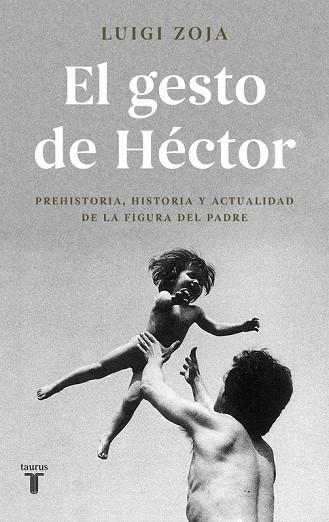 EL GESTO DE HÉCTOR | 9788430619313 | ZOJA,LUIGI