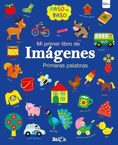 PRIMERAS  PALABRAS - MI PRIMER LIBRO DE IMÁGENES | 9789403204468 | BALLON/BALLON