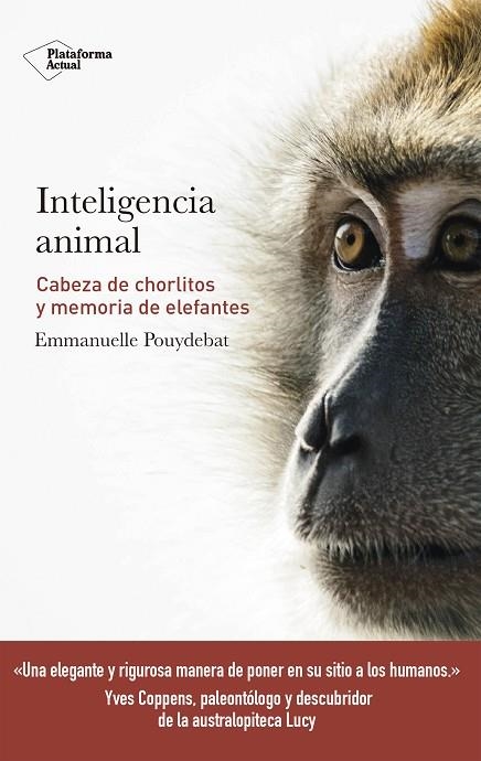 INTELIGENCIA ANIMAL,CABEZA DE CHORLITOS Y MEMORIA DE ELEFANTES | 9788417114947 | POUYDEBAT, EMMANUELLE