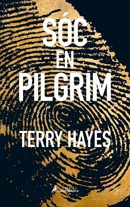 SÓC EN PILGRIM | 9788416310289 | HAYES, TERRY