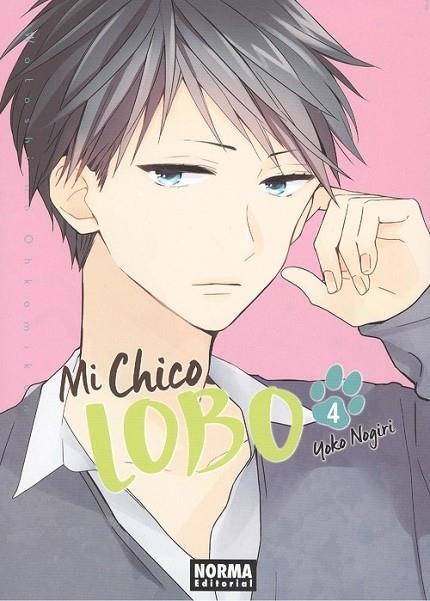 MI CHICO LOBO 4 | 9788467930535 | NOGIRI, YOUKO