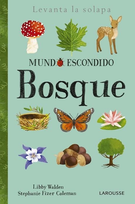 MUNDO ESCONDIDO. BOSQUE | 9788416984862 | FIZER COLEMAN,STEPHANIE