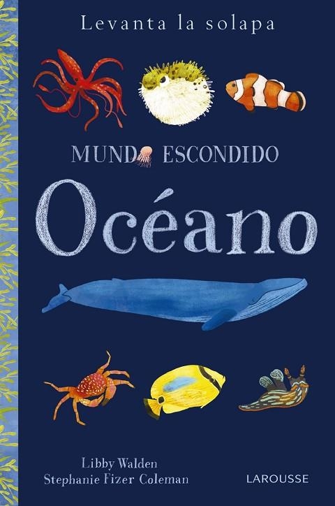 MUNDO ESCONDIDO. OCÉANO | 9788416984879 | FIZER COLEMAN,STEPHANIE