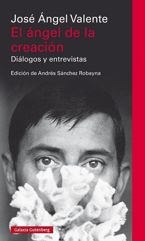 EL ÁNGEL DE LA CREACIÓN DIALOGOS Y ENTREVISTAS | 9788417355708 | VALENTE, JOSÉ ÁNGEL