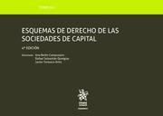 ESQUEMAS DE DERECHO DE LAS SOCIEDADES DE CAPITAL TOMO XLI  | 9788491904090