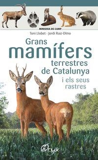 GRANS MAMÍFERS TERRESTRES DE CATALUNYA I ELS SEUS RASTRES | 9788490347881 | LLOBET FRANÇOIS , TONI/RUIZ-OLMO, JORDI