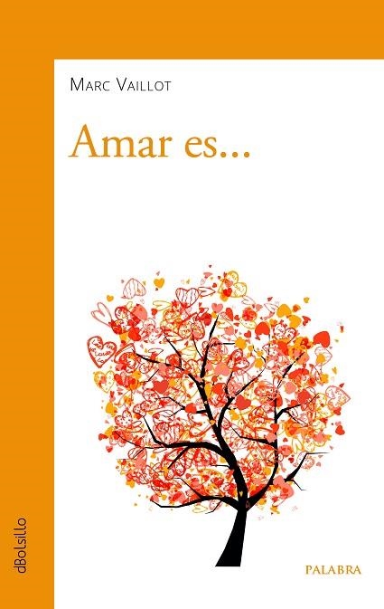 AMAR ES... | 9788490617847 | VAILLOT, MARC