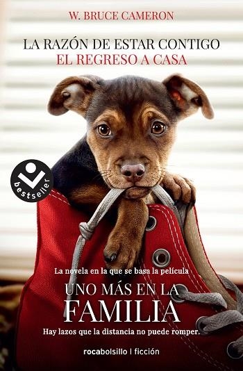 LA RAZÓN DE ESTAR CONTIGO. EL REGRESO A CASA(UNO MAS EN LA FAMILIA) | 9788416859351 | CAMERON, W. BRUCE