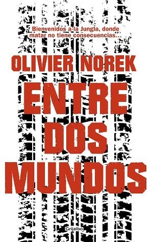 ENTRE DOS MUNDOS | 9788425357015 | NOREK, OLIVIER