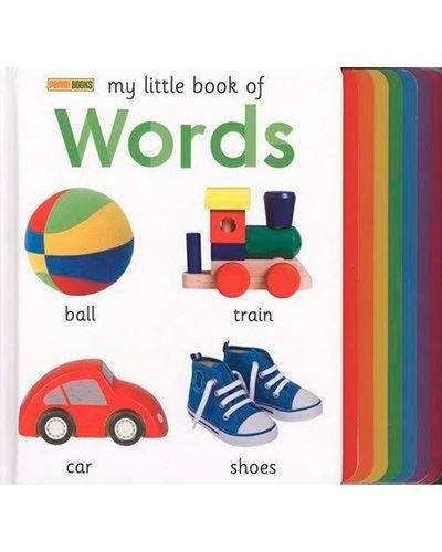 MY LITTLE BOOK OF WORDS | 9788491676249