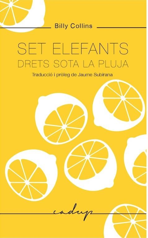 SET ELEFANTS DRETS SOTA LA PLUJA | 9788494943218 | COLLINS, BILLY