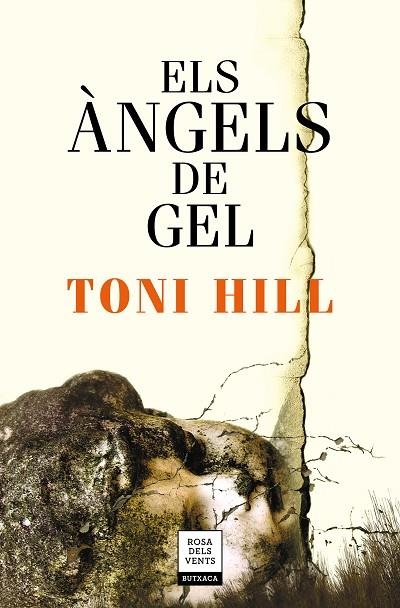 ELS ÀNGELS DE GEL | 9788417444679 | HILL, TONI