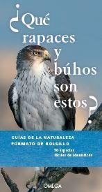 ¿QUE RAPACES Y BUHOS SON ESTOS? | 9788428217095 | DIERSCHKE, VOLKER