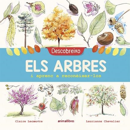 DESCOBREIXO ELS ARBRES I APRENC A RECONÈIXER-LOS | 9788417599195 | LECOEUVRE, CLAIRE