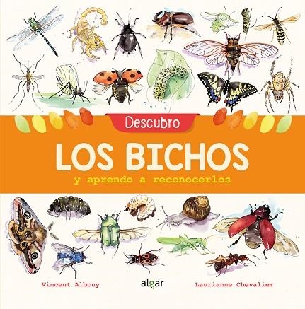 DESCUBRO LOS BICHOS Y APRENDO A RECONOCERLOS | 9788491422969 | ALBOUY, VINCENT