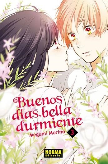 BUENOS DÍAS, BELLA DURMIENTE 3 | 9788467935387 | MEGUMI MORINO