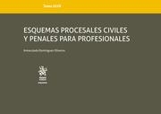 ESQUEMAS PROCESALES CIVILES Y PENALES PARA PROFESIONALES. TOMO XLVII | 9788413136028 | DOMINGUÉZ OLIVEROS, INMACULADA