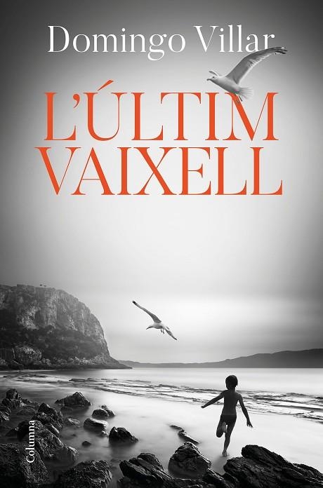 L'ÚLTIM VAIXELL | 9788466425490 | VILLAR, DOMINGO