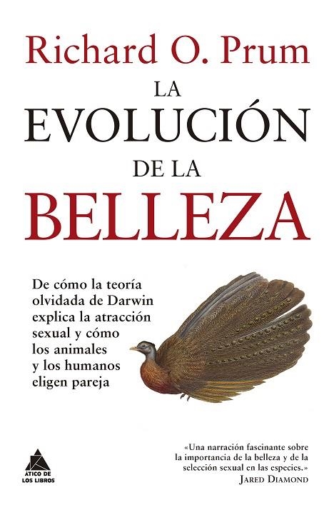 LA EVOLUCIÓN DE LA BELLEZA. DE CÓMO LA TEORÍA OLVIDADA DE DARWIN EXPLICA LA ATRACCIÓN SEXUAL Y CÓMO LOS ANIMALES Y LOS HUMANOS ELIGEN PAREJA | 9788416222766 | PRUM, RICHARD O.