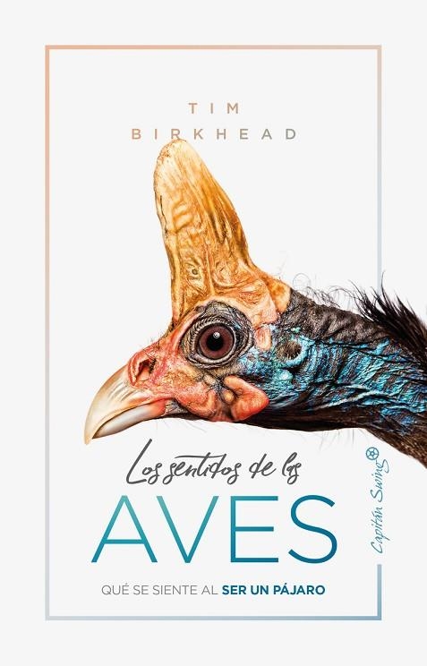 LOS SENTIDOS DE LAS AVES. QUE SE SIENTE AL SER UN PAJARO | 9788412064506 | BIRKHEAD, TIM