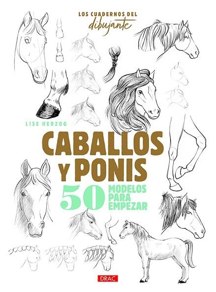 LOS CUADERNOS DEL DIBUJANTE. CABALLOS Y PONIS. 50 MODELOS PARA EMPEZAR | 9788498746457 | HERZOG, LISE