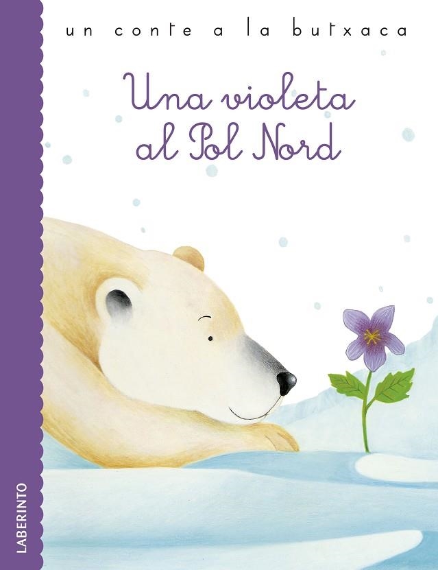 UNA VIOLETA AL POL NORD | 9788484838890 | RODARI, GIANNI