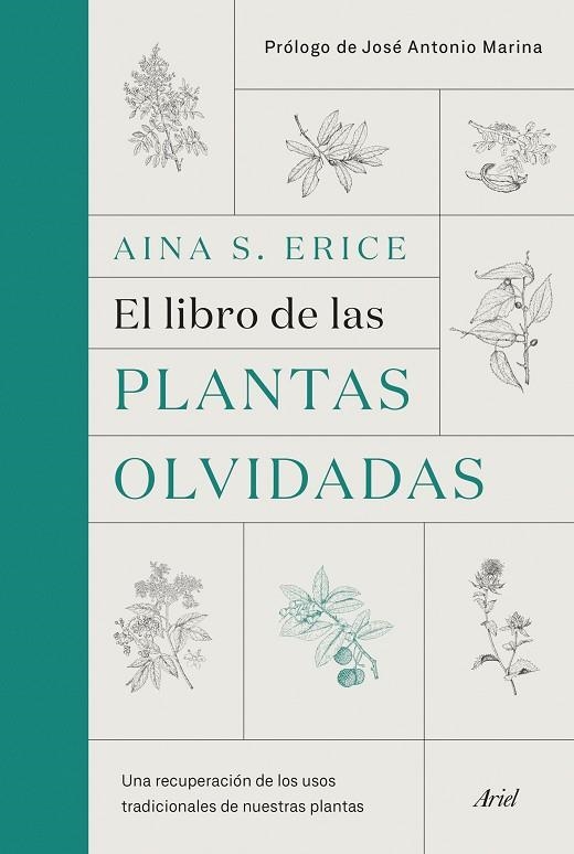 EL LIBRO DE LAS PLANTAS OLVIDADAS. UNA RECUPERACIÓN DE LOS USOS TRADICIONALES DE NUESTRAS PLANTAS | 9788434431461 | S. ERICE, AINA