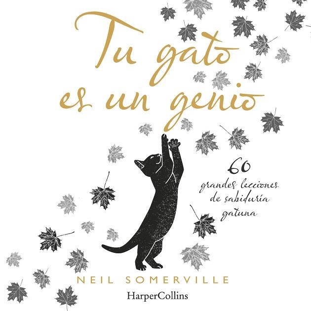 TU GATO ES UN GENIO. 60 GRANDES LECCIONES DE SABIDURÍA GATUNA | 9788491394211 | SOMERVILLE, NEIL