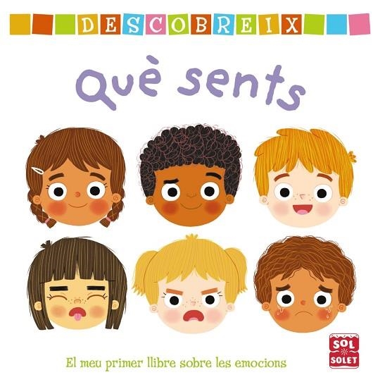 DESCOBREIX QUÈ SENTS. EL MEU PRIMER LLIBRE SOBRE LES EMOCIONS | 9788499063003