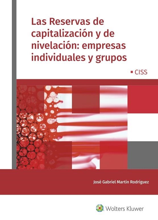 LAS RESERVAS DE CAPITALIZACIÓN Y DE NIVELACIÓN: EMPRESAS INDIVIDUALES Y GRUPOS | 9788499542263 | MARTÍN RODRÍGUEZ, JOSÉ GABRIEL