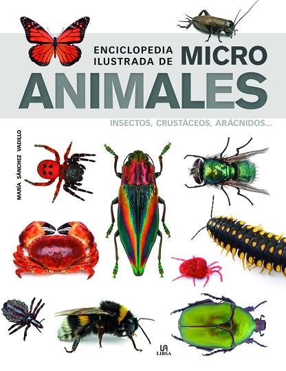 ENCICLOPEDIA ILUSTRADA DE MICRO ANIMALES. INSECTOS, CRUSTACEOS, ARACNIDOS ... | 9788466239011 | SÁNCHEZ VADILLO, MARÍA