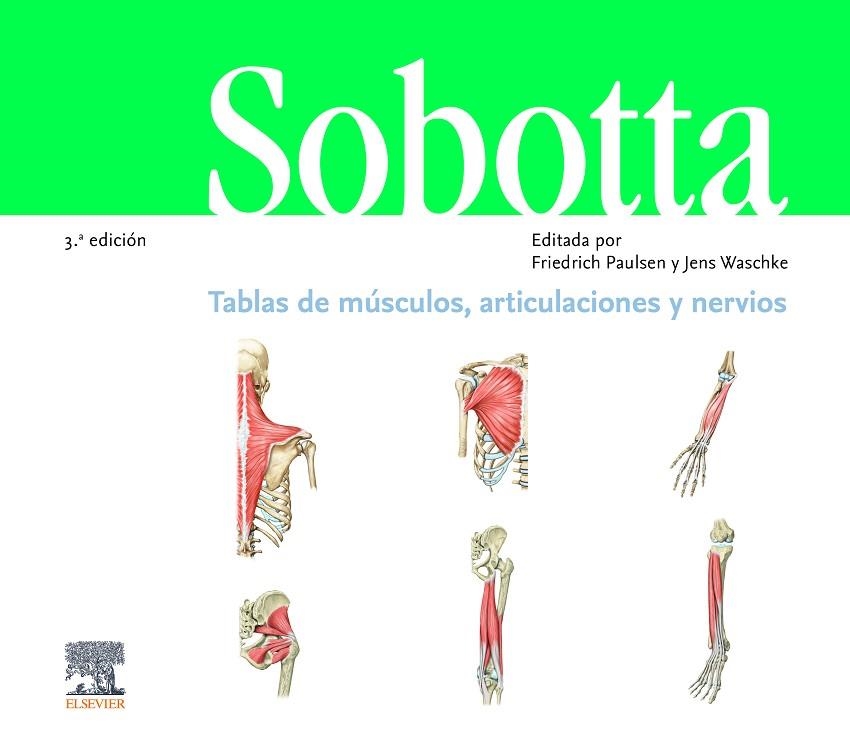 SOBOTTA. TABLAS DE MÚSCULOS, ARTICULACIONES Y NERVIOS (3ª ED.) | 9788491135425 | PAULSEN, F.