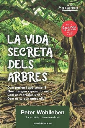 LA VIDA SECRETA DELS ARBRES. COM PARLEN I QUE SENTEN? COM MENGEN I QUAN DORMEN? COM ES REPRODUEIXEN? COM ES CUIDEN ENTRE ELLS? | 9788490348901 | WOHLLEBEN, PETER