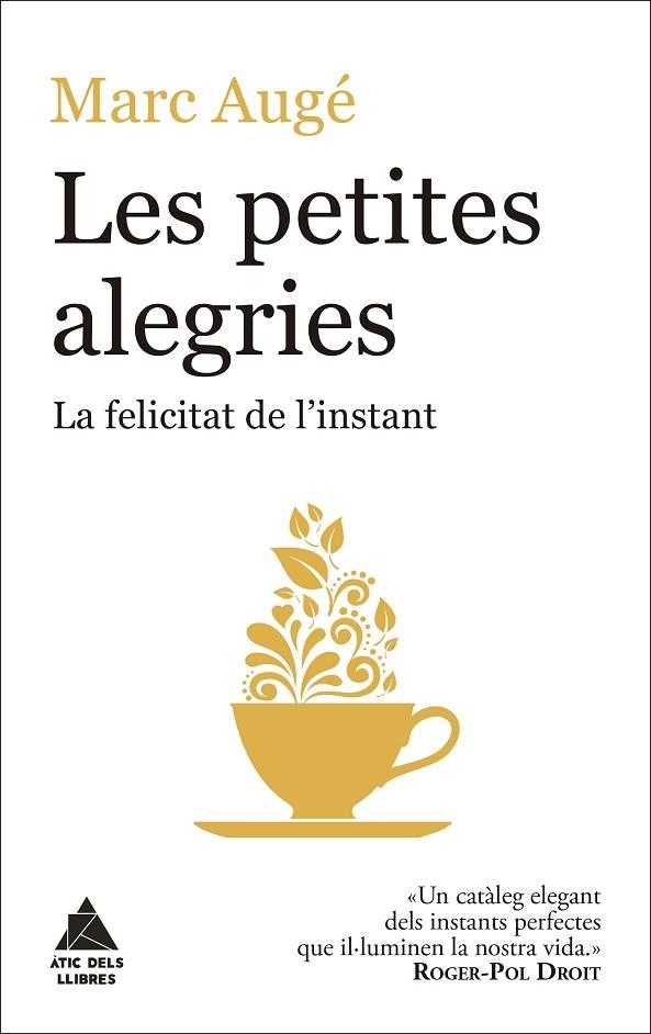 LES PETITES ALEGRIES. LA FELICITAT DE L´INSTANT | 9788416222964 | AUGÉ, MARC