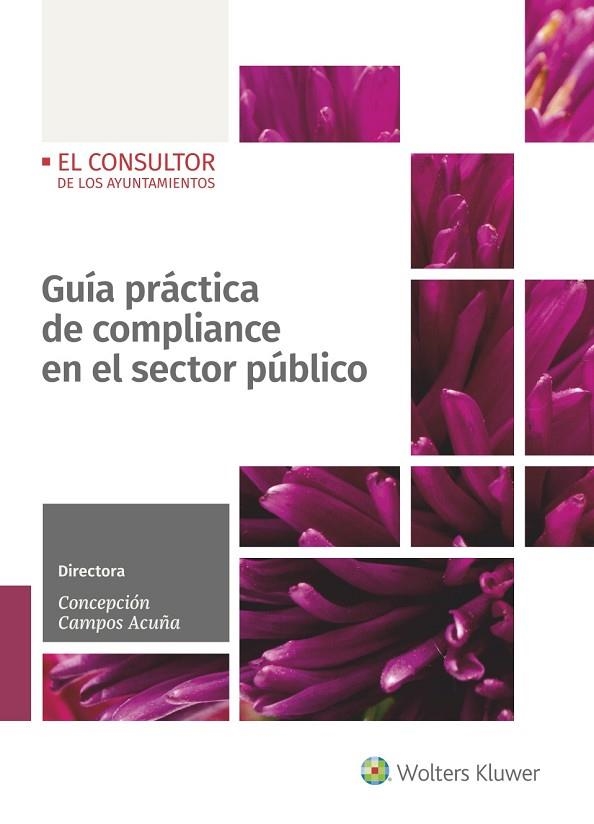 GUÍA PRÁCTICA DE COMPLIANCE EN EL SECTOR PÚBLICO | 9788470528118 | CAMPOS ACUÑA,CONCEPCION