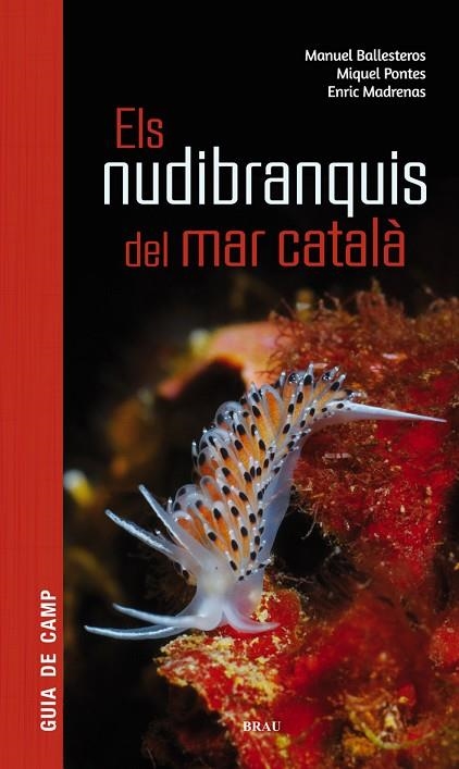 ELS NUDIBRANQUIS DEL MAR CATALÀ | 9788415885924 | BALLESTEROS VÁZQUEZ, MANUEL/PONTES GARCIA, MIQUEL/MADRENAS TOMÀS, ENRIC