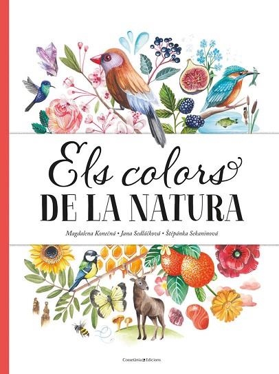 ELS COLORS DE LA NATURA | 9788490349243 | SEDLÁCKOVÁ,JANA/SEKANINOVÁ,STEPÁNKA/KONECNA,MAGDALENA