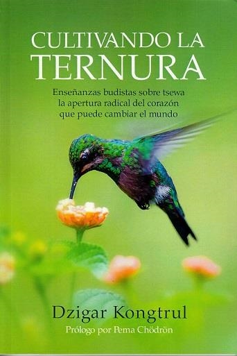 CULTIVANDO LA TERNURA. ENSEÑANZAS BUDISTAS SOBRE TSEWA LA APERTURA RADICAL DEL CORAZÓN QUE PUEDE CAMBIAR EL MUNDO | 9788412088427 | HTTPS://WWW.ALFAOMEGA.ES/STATIC/IMG/PORTADAS/9788412088427.JPG