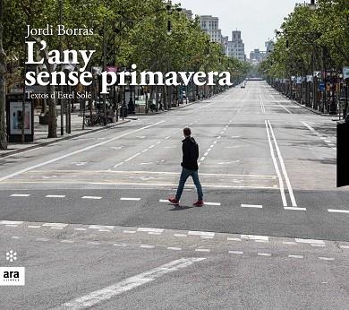 L'ANY SENSE PRIMAVERA | 9788417804541 | BORRÀS I ABELLÓ, JORDI/SOLÉ I CASADELLÀ, ESTEL