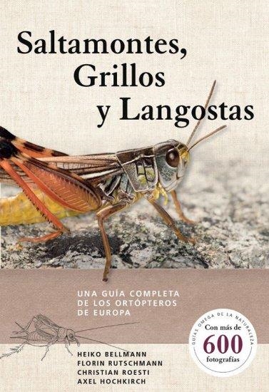 SALTAMONTES GRILLOS Y LANGOSTAS. UNA GUIA COMPLETA DE LOS ORTOPTEROS DE EUROPA | 9788428217279 | BELLMANN,HEIKO