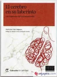 EL CEREBRO EN SU LABERINTO. LOS TRANSTORNOS DEL NEURODESARROLLO | 9788412159813 | MAS SALGUERO, MARÍA JOSÉ