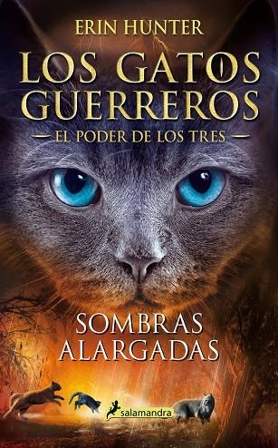 SOMBRAS ALARGADAS. LOS GATOS GUERREROS EL PODER DE LOS TRES 5 | 9788418174001 | HUNTER, ERIN