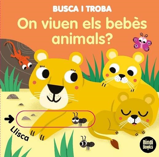 ON VIUEN ELS BEBÈS ANIMALS? | 9788418288005 | BARETTI, SONIA