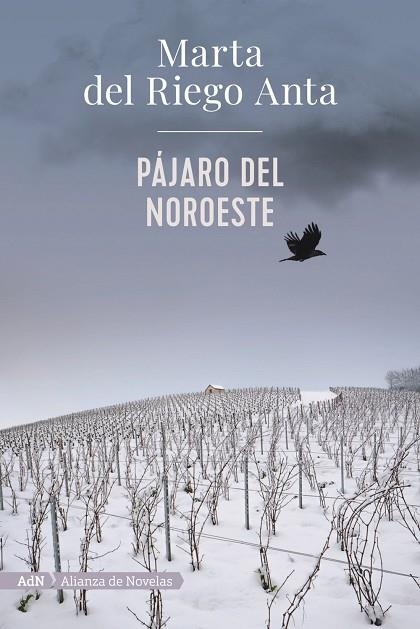 PÁJARO DEL NOROESTE  | 9788413620558 | RIEGO, MARTA DEL